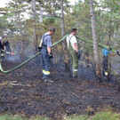ED_08072012_Waldbrand Muthmannsdorf _13_.jpg