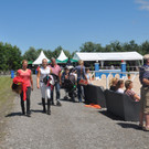publikum_jpg-1341781389