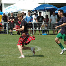 DSC_4961_JPG-1341783265