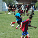 DSC_4989_JPG-1341783686