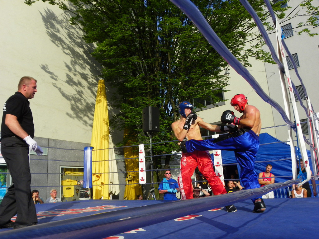 115_2208_JPG-1341788117