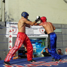 115_2216_JPG-1341788127