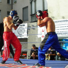 115_2221_JPG-1341788135