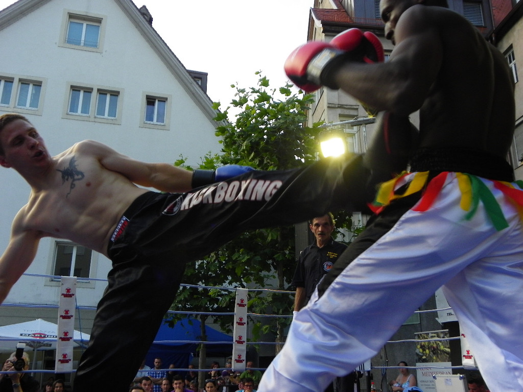 115_2290_JPG-1341788246