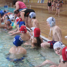 IMG_0663_JPG-1341788637