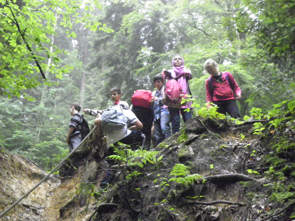 115_2764_JPG-1341790899