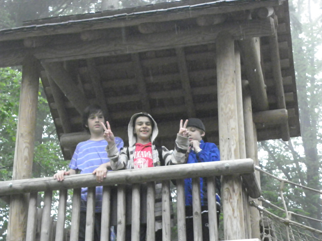 115_2829_JPG-1341790960