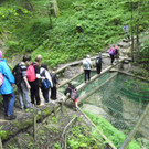 115_2795_JPG-1341790923