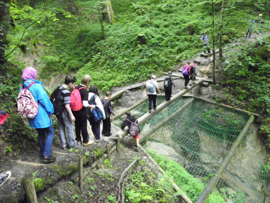 115_2795_JPG-1341790923