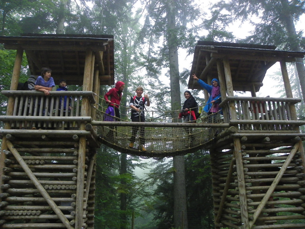 115_2828_JPG-1341790954