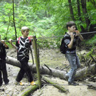 115_2806_JPG-1341790929