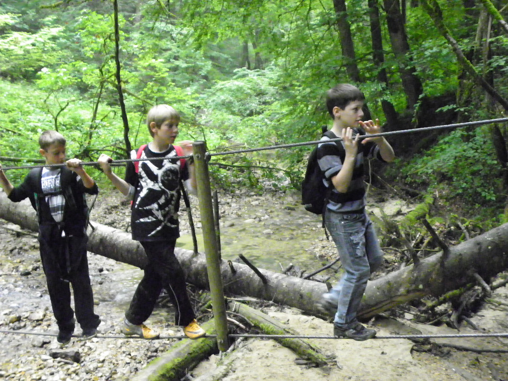 115_2806_JPG-1341790929