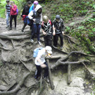 115_2813_JPG-1341790935