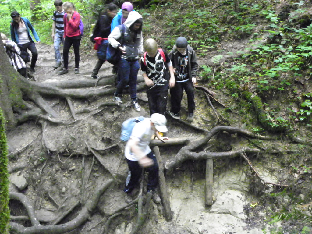 115_2813_JPG-1341790935