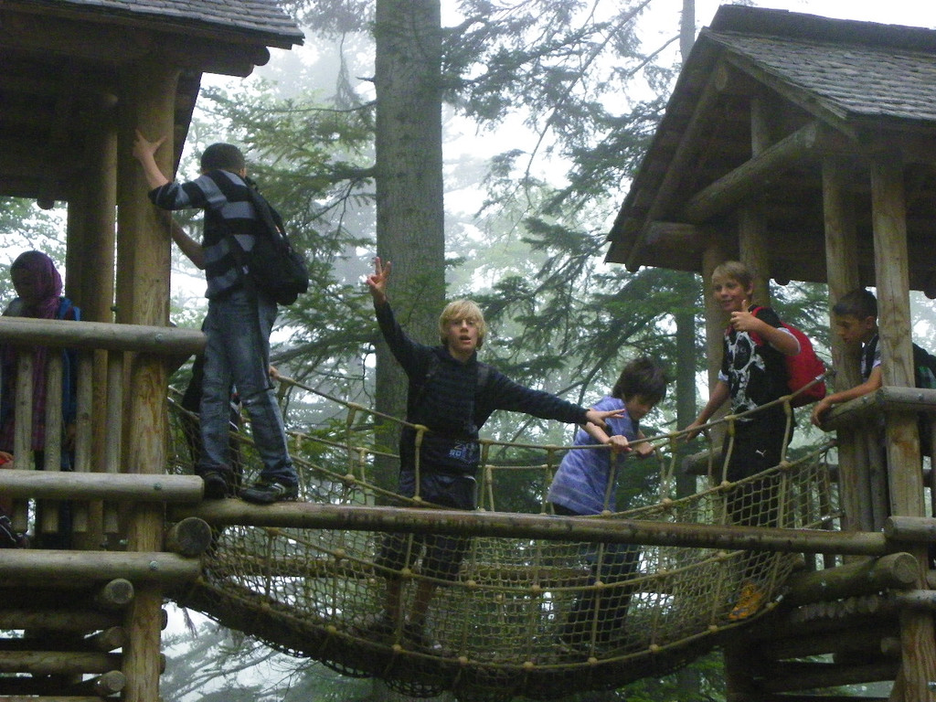 115_2832_JPG-1341790966