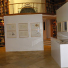 115_0219_JPG-1341791543