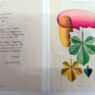 115_0210_JPG-1341791505