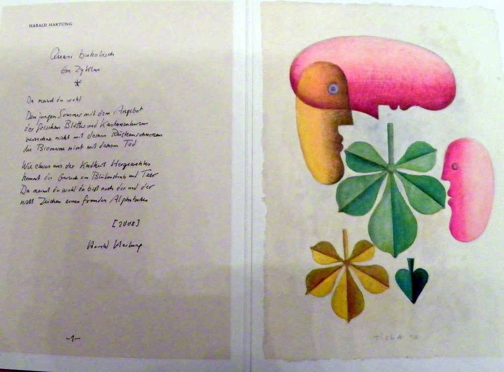 115_0210_JPG-1341791505