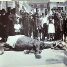 115_1976_JPG-1341792012