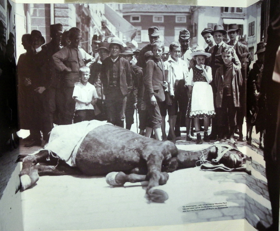 115_1976_JPG-1341792012