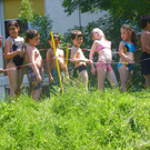 Bild 583_jpg-1341793487