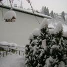 2010j__nner 2010 003.jpg