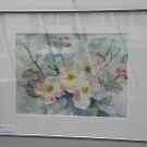 DSCN6427_JPG-1341821722