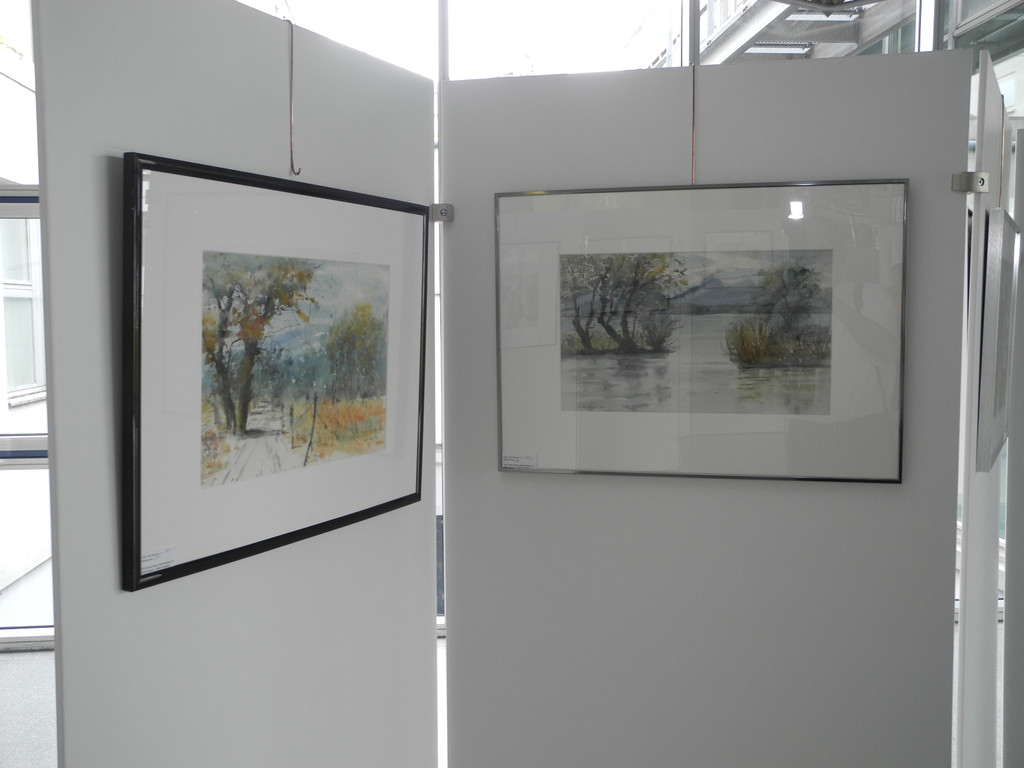 DSCN6433_JPG-1341821850