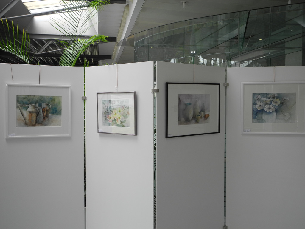 DSCN6435_JPG-1341821903