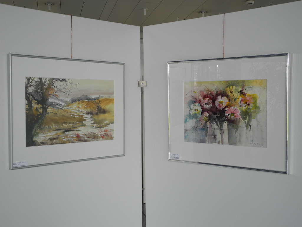 DSCN6438_JPG-1341821927