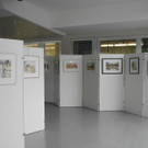 DSCN6439_JPG-1341821952