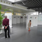 DSCN6440_JPG-1341821981