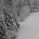 Kopie von IMG_3090.JPG