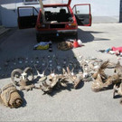 09_07_2012 PI Haugsdorf 1.JPG