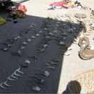 09_07_2012 PI Haugsdorf 2.JPG