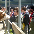 Projekt Tierhaltung und Ernährung