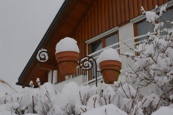 mini-bea_Satteinser Schneeimpressionen 032.jpg