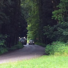 090712toetungde01001aktivnews002.jpg