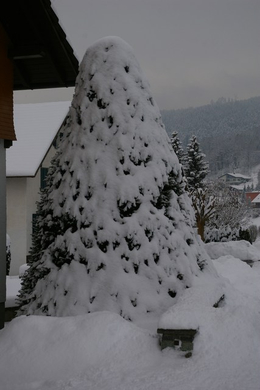 mini-bea_Satteinser Schneeimpressionen 038.jpg