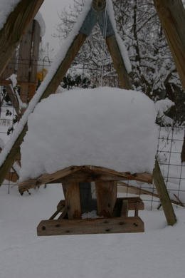 mini-bea_Satteinser Schneeimpressionen 039.jpg