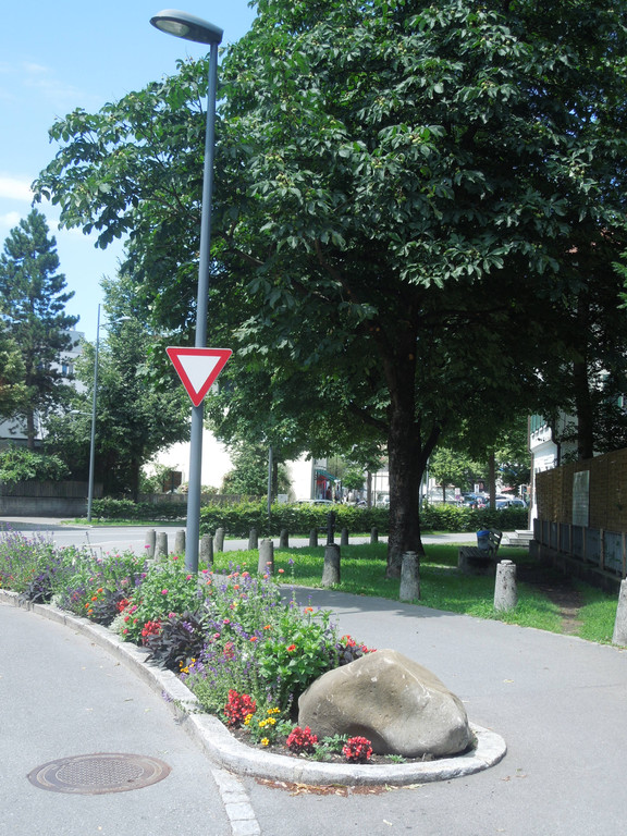 Juli 9 011.JPG