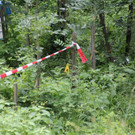 09072012toteimwald1de_05_003aktivnews412.jpg