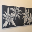 DSC_3031_jpg-1341855421