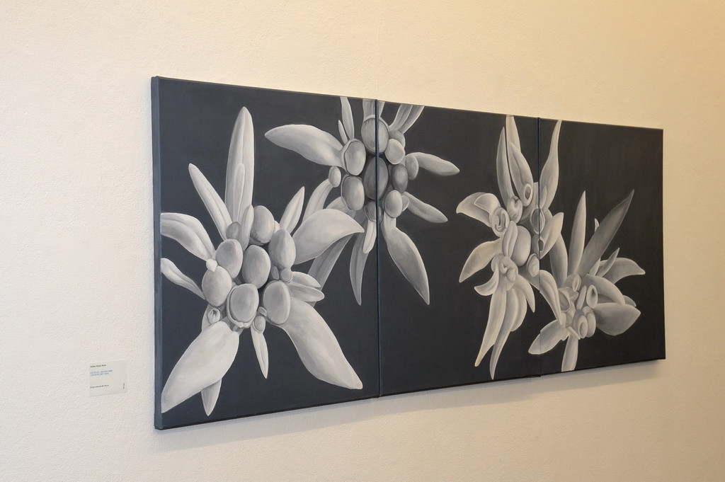 DSC_3031_jpg-1341855421