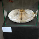 DSC_3083_jpg-1341855547