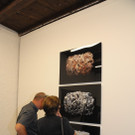 DSC_3331_JPG-1341856054