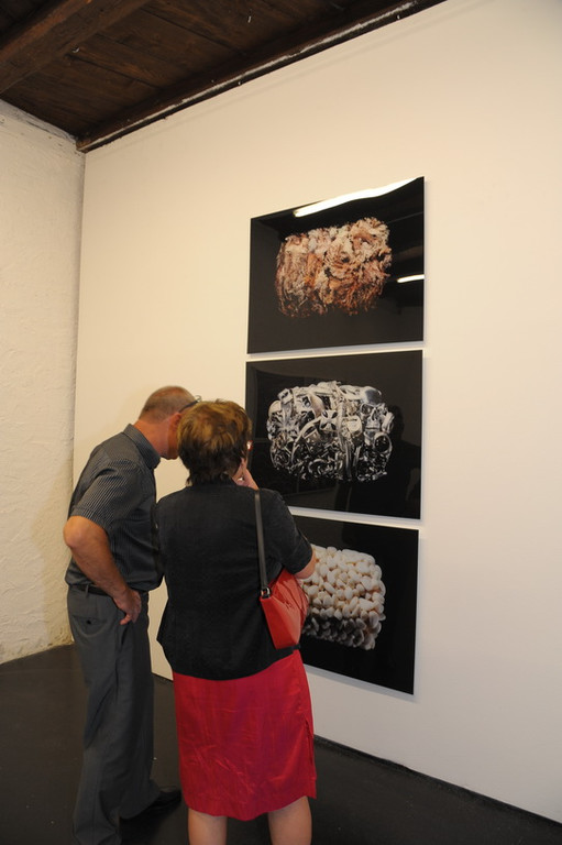 DSC_3331_JPG-1341856054