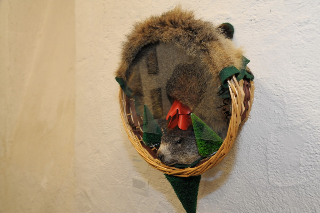 DSC_3355_jpg-1341856102