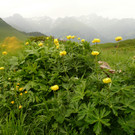 P1100042.JPG