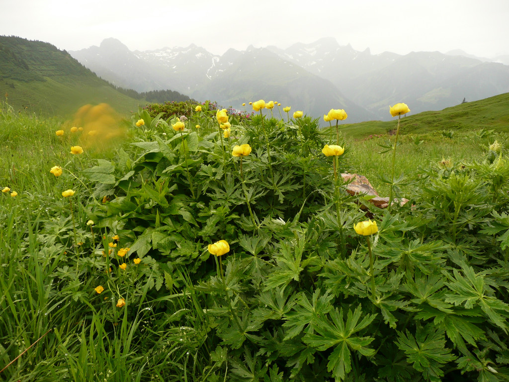 P1100042.JPG